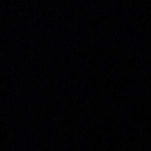 Meet your Posher, Owen